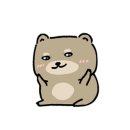 스테이선자우 이미지