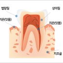 서울치과 이미지