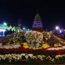 마산가고파 국화축제장 이미지