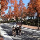 대구성서교회 앞 이미지