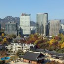 단풍머리 | 덕수궁 단풍뷰맛집 후기 [정동전망대] 커피 3300원부터! 평일/주말 오픈런 필수
