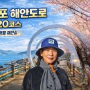 장승포1로 Daum카페