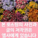 셰프의 국수N육계장 코엑스점-주차안내/혼밥하기 좋은집