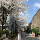 거여4단지(403동앞) | 임장일기 세번째 서울경기 예비신혼부부 커플임장 서울임장