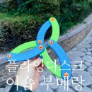 부매랑 | 플라잉디스크 추천 EVA소재로 안전한 이숍 접이식 부메랑 사용 후기