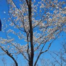 기장체육관주경기장 이미지