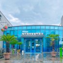 제주해양동물박물관 | 제주 아이랑 가볼만한곳 해양 동물 박물관 관람시간 예매 할인