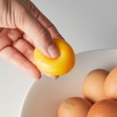 유환농장 이미지