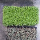 대농경로당 이미지