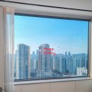 도림이 | 잠실 롯데호텔 중식당 맛집 도림 : 가족모임 룸식당 후기(북경오리·단품메뉴)