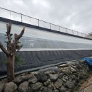 은파농장 이미지