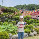 전주 정혜사 부처님오신날 방문 후기 연등 가득한 고즈넉한 사찰 조용한 힐링 공간 방문 후기