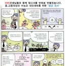 구룡포여자종합고등학교 이미지