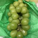 강덕농장 네이버블로그