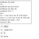 2020-주128 | [리눅스마스터 2급] 2020/12/12 기출 오답 정리