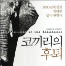 코끼리 환경 이미지