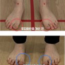 본체형분석운동센터