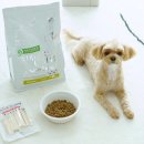 원미구 도약로 239 이미지