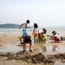 어은돌리솜펜션 이미지