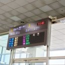 썬카서비스 이미지