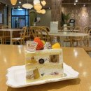 수원-1141 | 수원시청역 디저트 카페디아즈 본점 리뷰