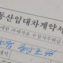Lamode 이미지