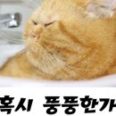 건다챌 이미지