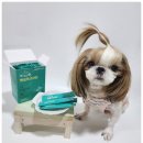 상아펫케어 이미지