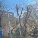 서구문화회관 야외공연장 | tv 뮤지컬! 팀나빠 인천서구문화회관 솔직후기 제작자 원작자 등장 공연장준비물 굿즈 가격 시야 nol...