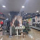 GX GYM 이미지
