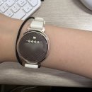 릴리(Lily) | 가민 lily2 릴리2 웰니스 후기