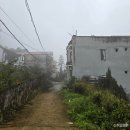 동일분회경로식당 | 하노이 자유여행 마지막날 5일차 (일정, 경로, 경비, 후기, 꿀팁) - 롯데마트 / 하노이 야시장...