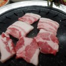 꿀꾸리뒷고기