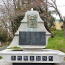 송정메타세콰이어길 이미지