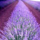 (주)더좋은날 이미지