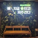 레이노래방 | 완도에서 제주로 떠나는 골드스텔라 레이 차량선적 이용후기_골드스텔라, 실버클라우드 선적 비교