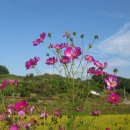 소백로1 이미지