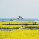 일렁이는 이미지