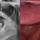 삼호명인치과의원 이미지