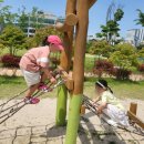 하바드치킨 이미지