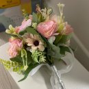 💐 WEDDING 11. 웨딩 스냅 셔터프레소 서울 촬영 계약 및 후기(준비 과정)