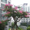 마포부동산114공인중개사사무소 이미지