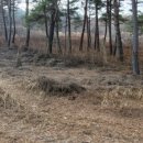 수하농장 이미지