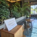 다시초록섬 이미지