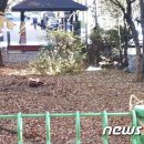 인천중학교 내 이미지