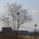 대덕구 산호빛 공원 이미지