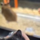 몬스타주 이미지