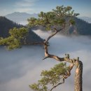 어울림B 이미지