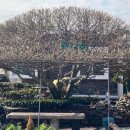 목련주유소 이미지