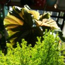 이발하기좋은날 이미지